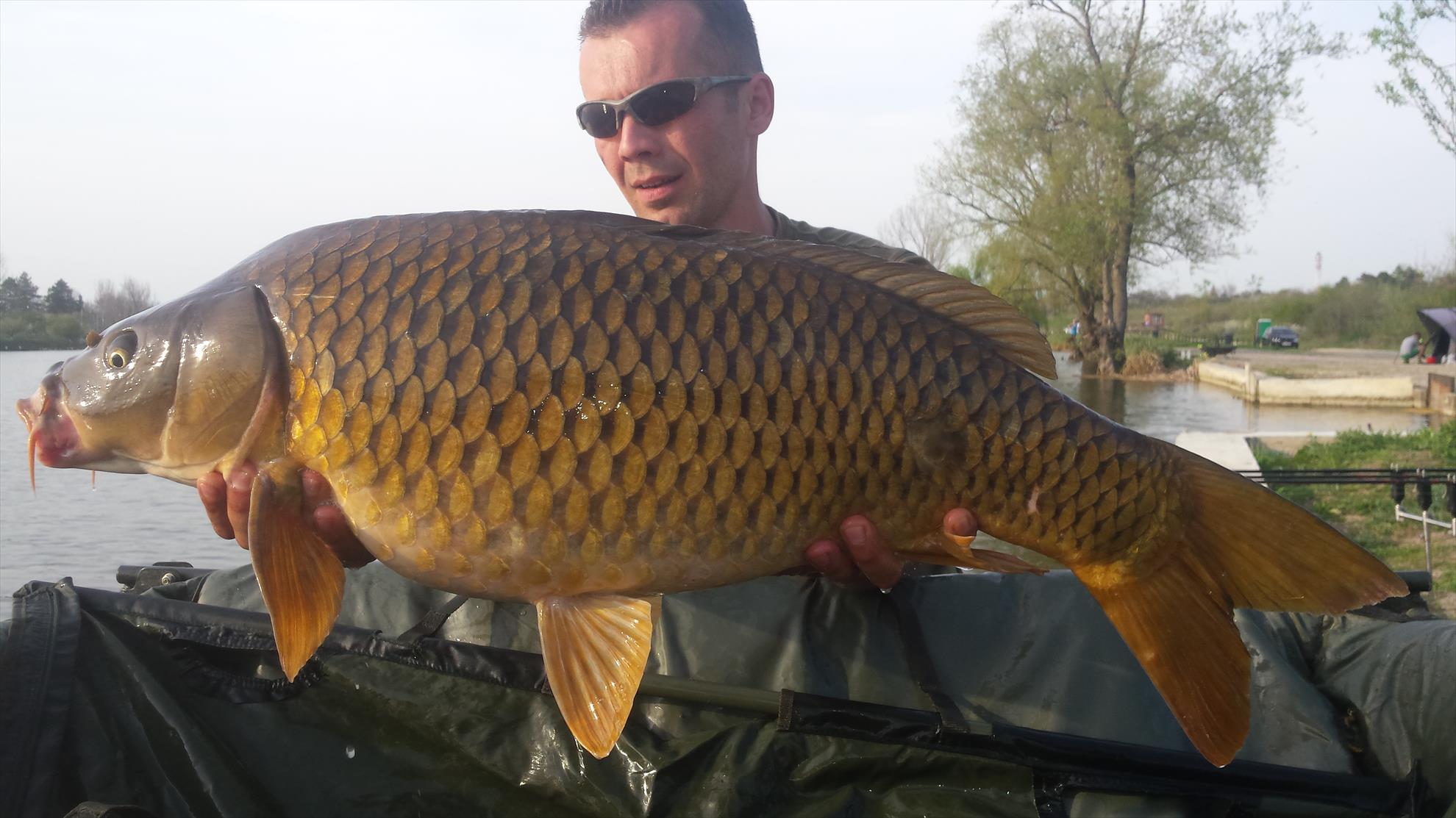 Hermes Peris 4 - 6 aprilie 2016 - 20160405175246.jpg